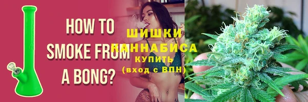 стафф Новодвинск
