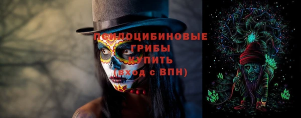 стафф Новодвинск