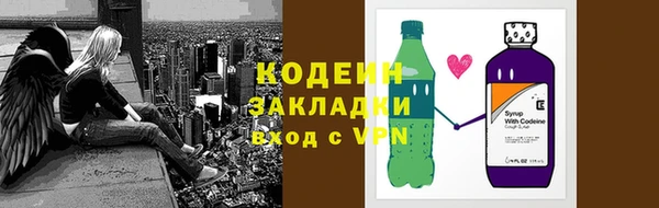 мдпв Новозыбков