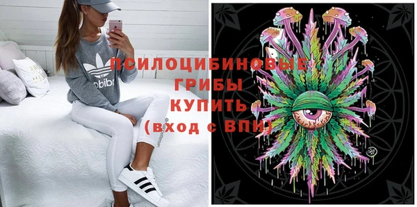 стафф Новодвинск