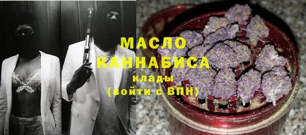 мдпв Новозыбков