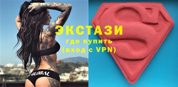 мдпв Новозыбков