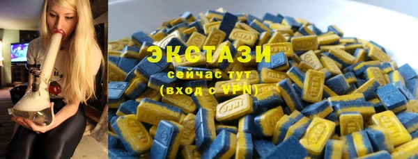 мдпв Новозыбков