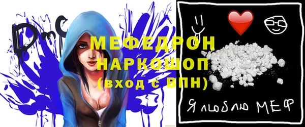 мдпв Новозыбков