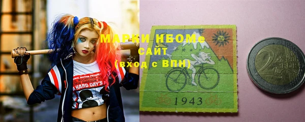 мдпв Новозыбков