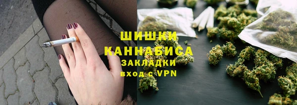 стафф Новодвинск