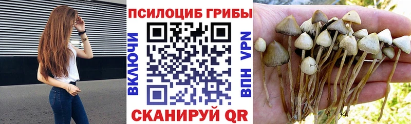 shop телеграм  Новое Девяткино  Галлюциногенные грибы MAGIC MUSHROOMS 